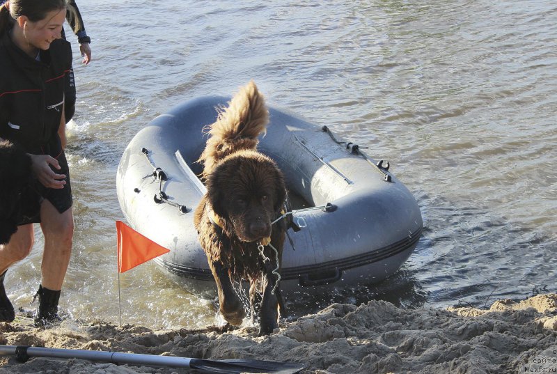 Фотография № 227241