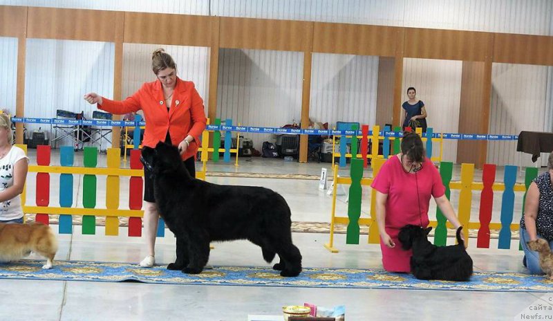 Фотография № 227242