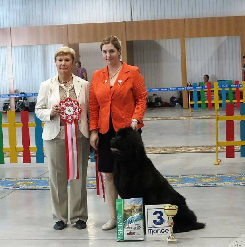 Фотография № 227243