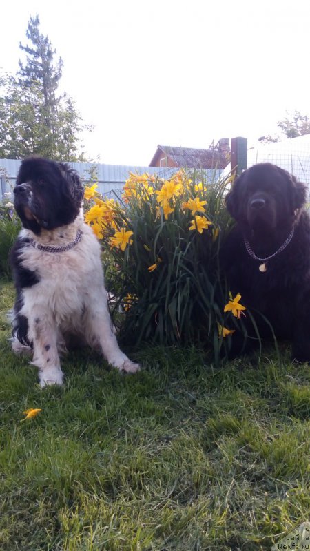 Фотография № 227244