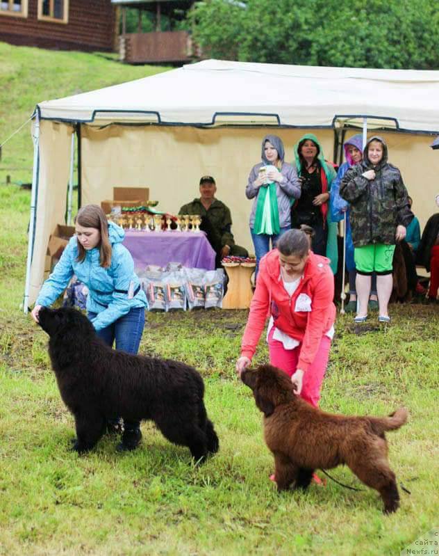 Фотография № 227275