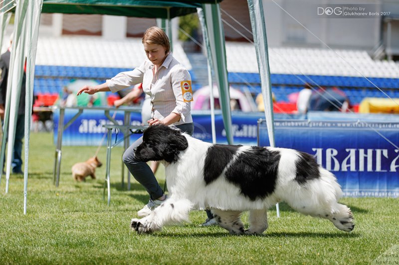 Фотография № 227302