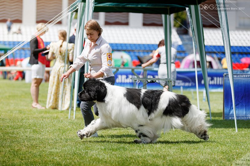 Фотография № 227303