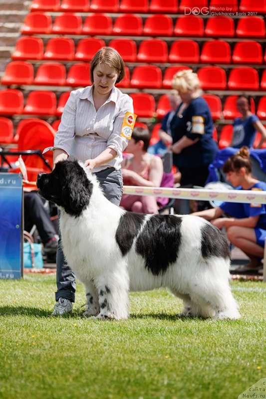 Фотография № 227304