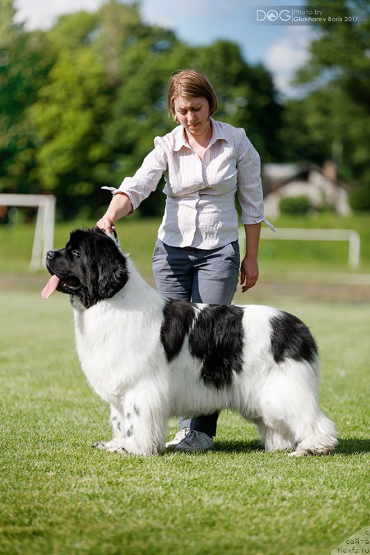 Фотография № 227305