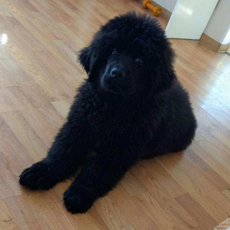 Фотография № 227321