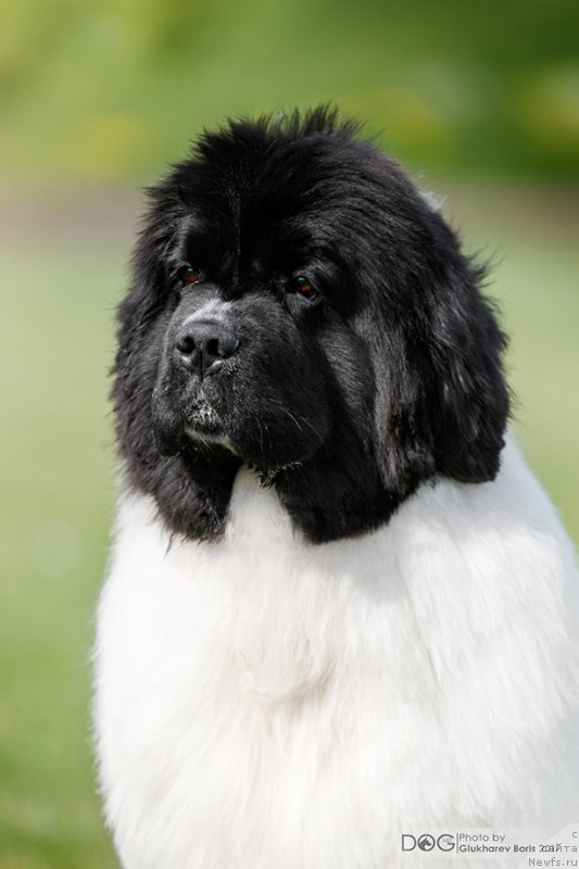 Фотография № 227331