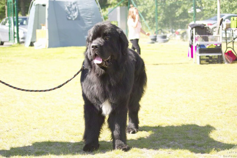 Фотография № 227332