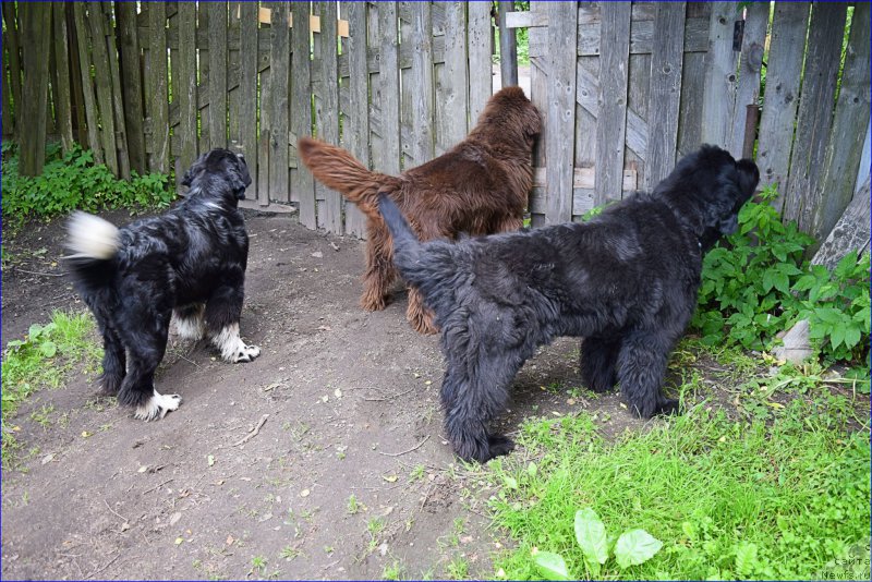 Фотография № 227340