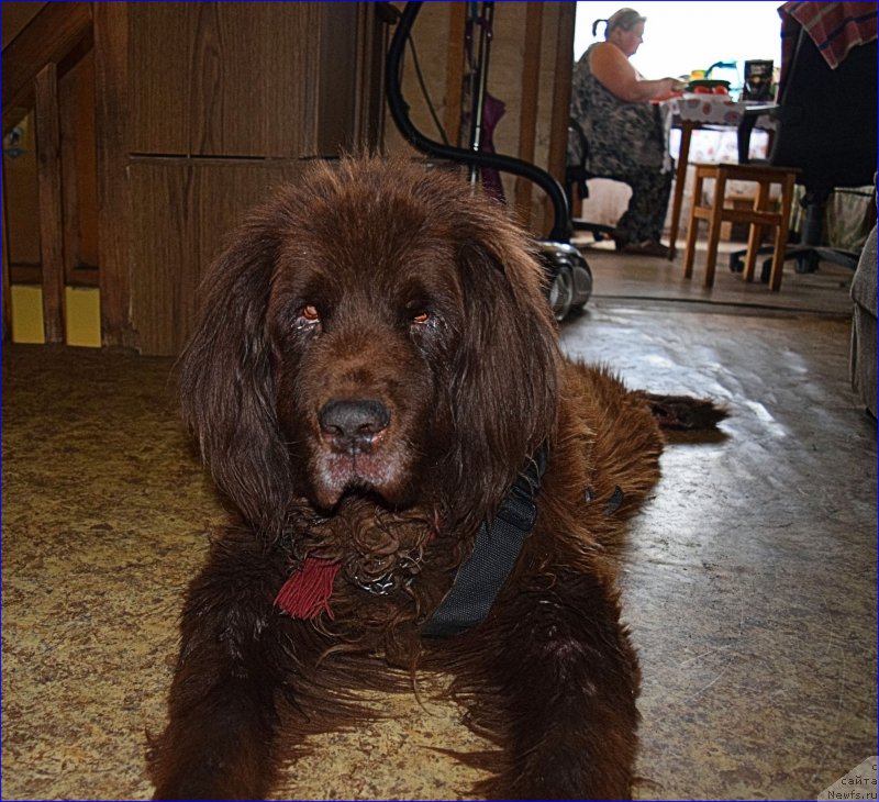 Фотография № 227341