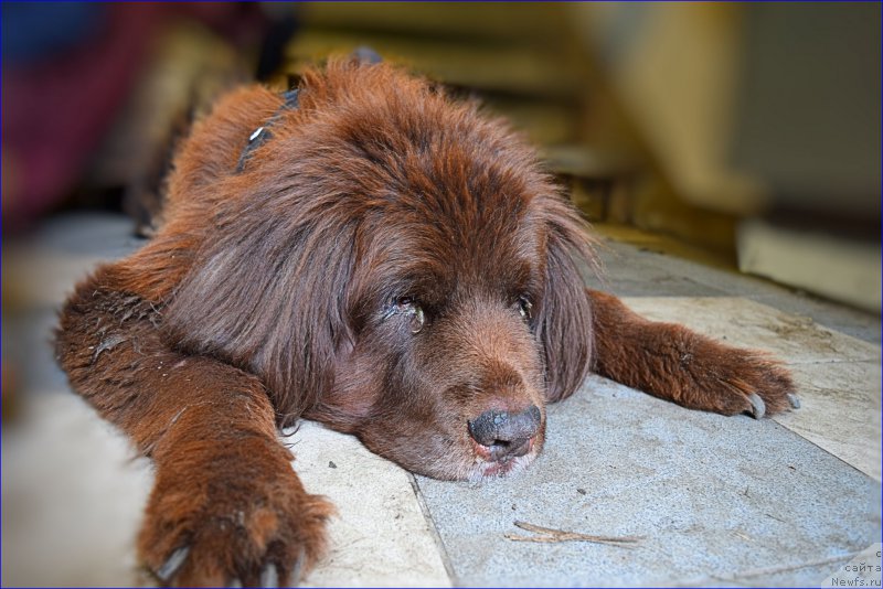 Фотография № 227342