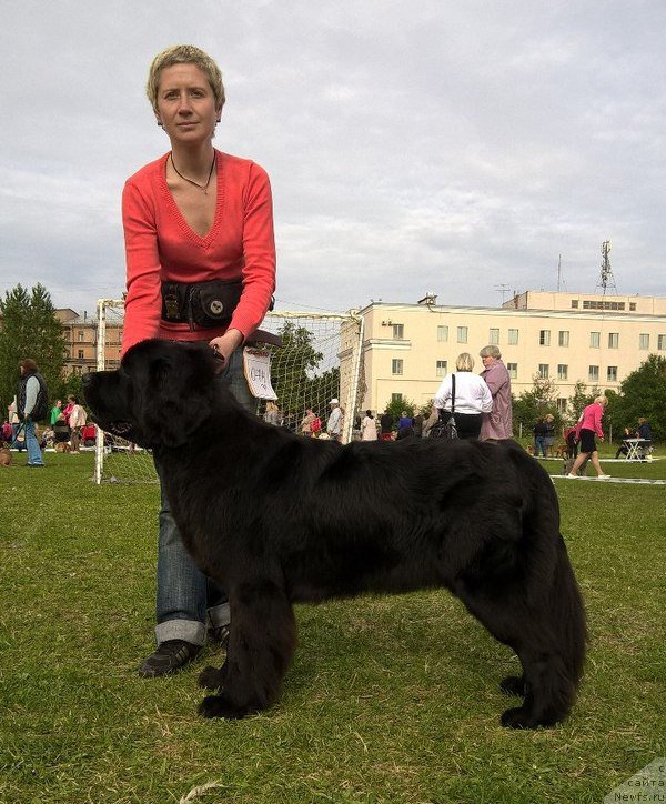 Фотография № 227343