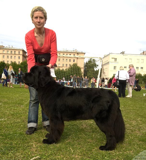 Фотография № 227344