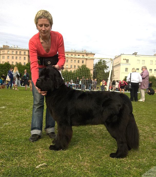 Фотография № 227345