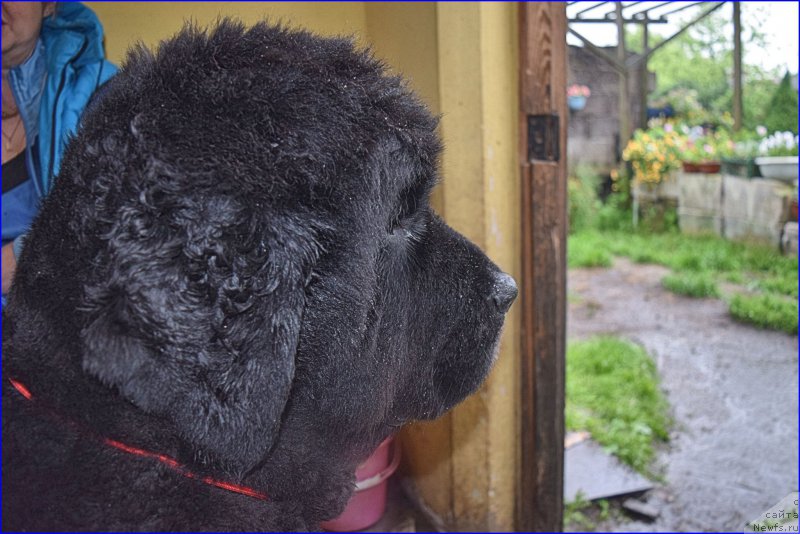 Фотография № 227364