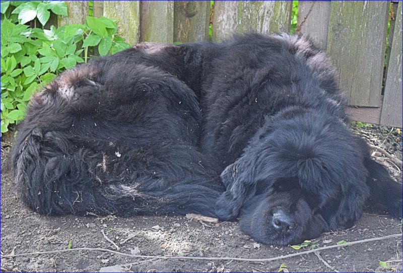 Фотография № 227366