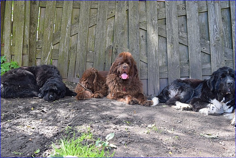 Фотография № 227367