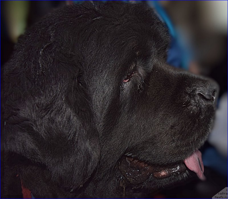 Фотография № 227368