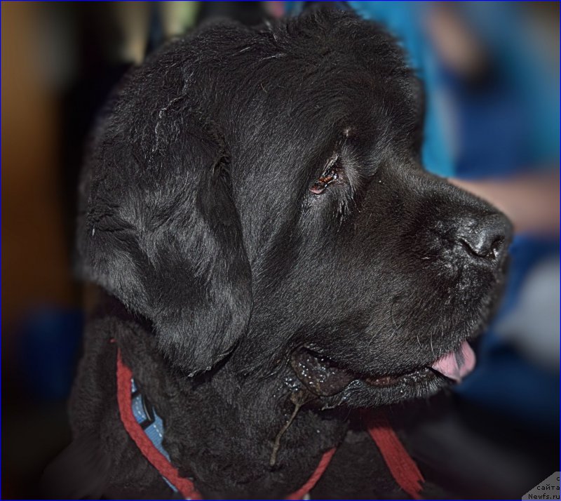 Фотография № 227369