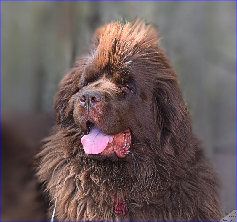 Фотография № 227376