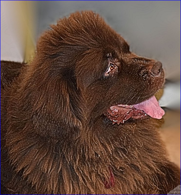 Фотография № 227377