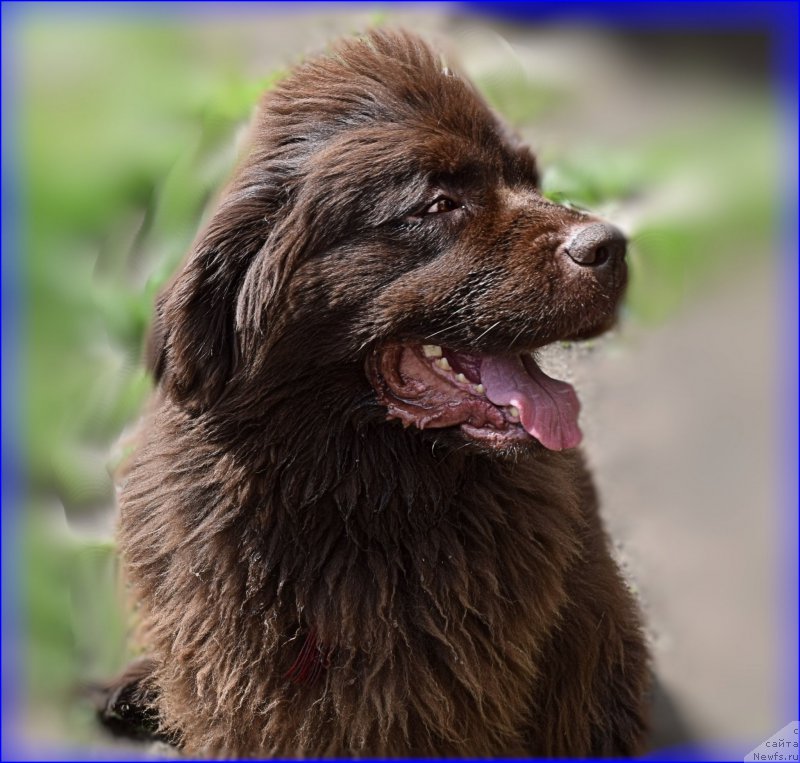 Фотография № 227378