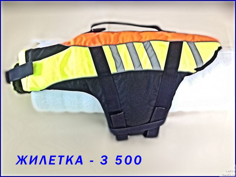 Фото: Лена Зырина, ЖИЛЕТКА