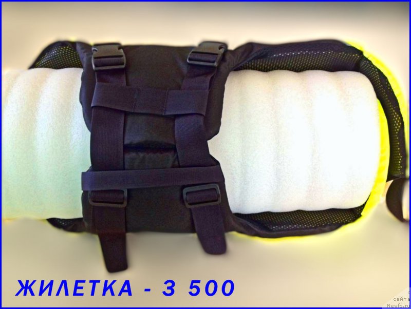 Фотография № 227389