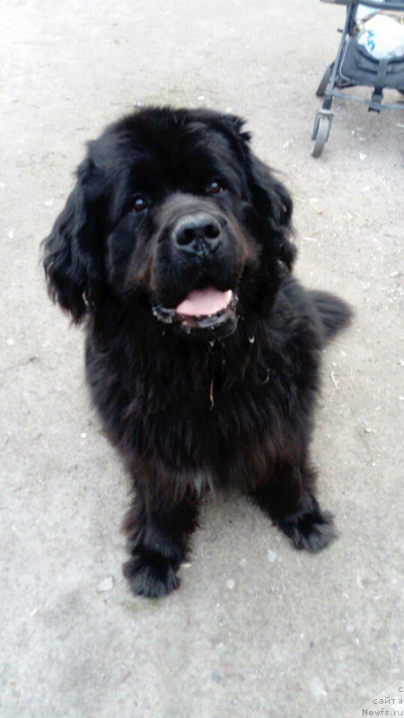 Фотография № 227394