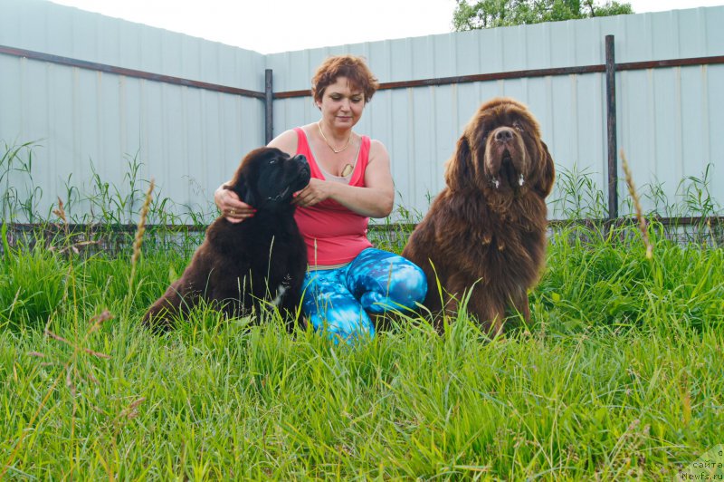 Фото: ньюфаундленд Есаул с Берега Дона (Esaul s Berega Dona), ньюфаундленд Даркфлайт Иоши (Darkflight Ioshi)