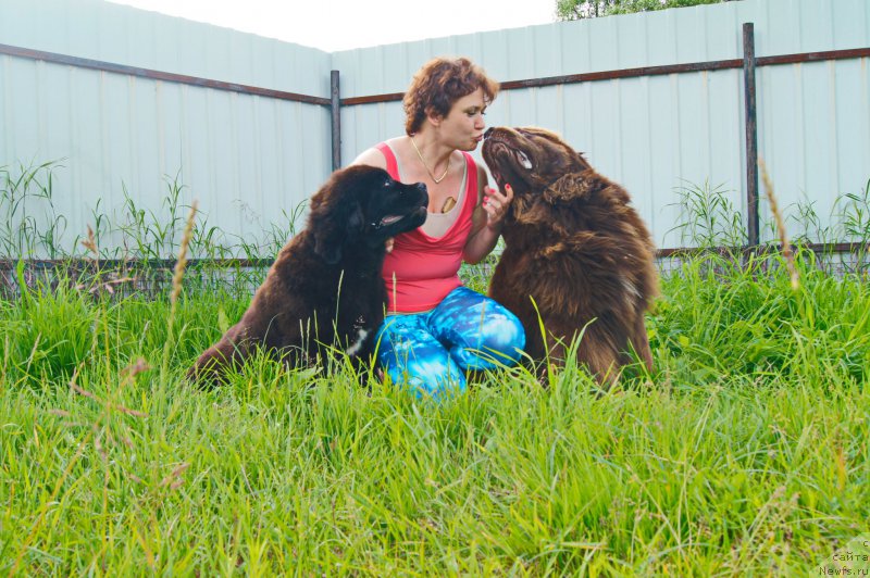 Фото: ньюфаундленд Есаул с Берега Дона (Esaul s Berega Dona), ньюфаундленд Даркфлайт Иоши (Darkflight Ioshi)