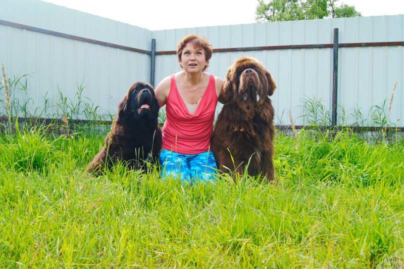 Фото: ньюфаундленд Есаул с Берега Дона (Esaul s Berega Dona), ньюфаундленд Даркфлайт Иоши (Darkflight Ioshi)