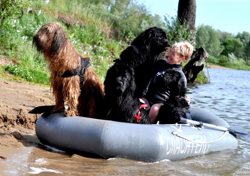 Фотография № 227428