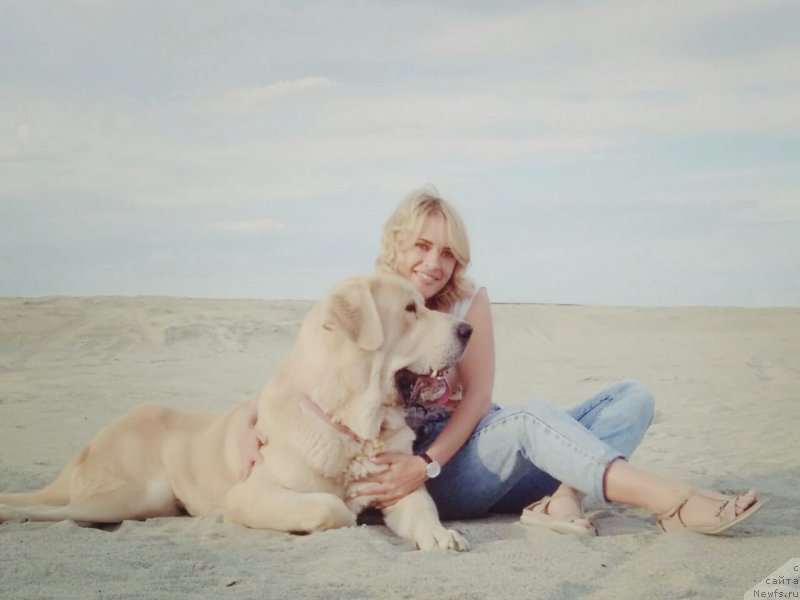 Фотография № 227444