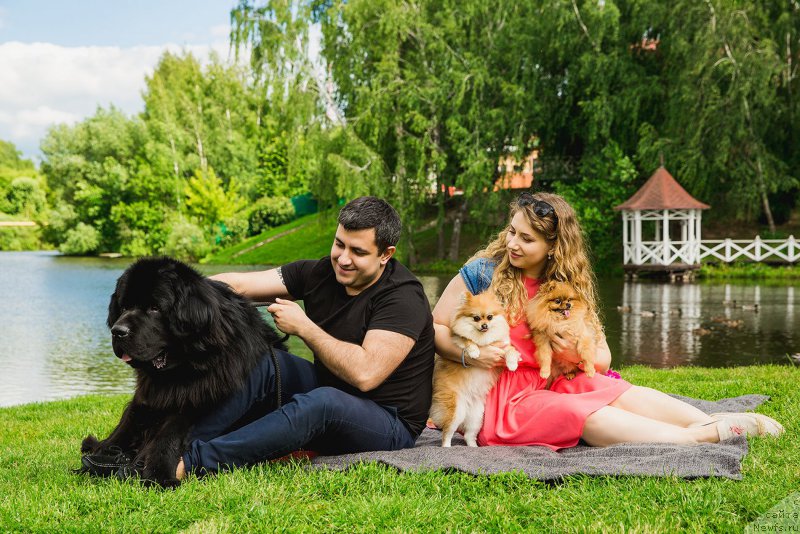 Фотография № 227452