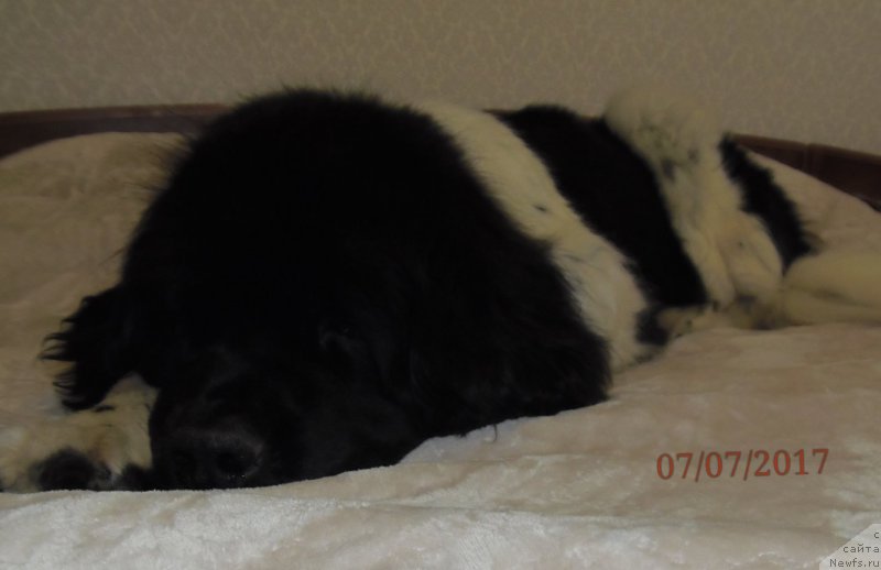 Фотография № 227469