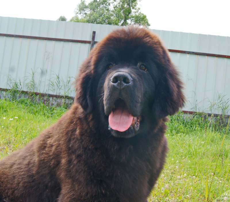 Фотография № 227493