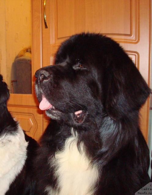 Фотография № 22750