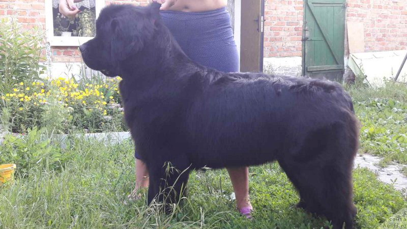 Фотография № 227503