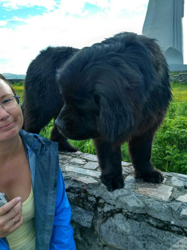 Фотография № 227504