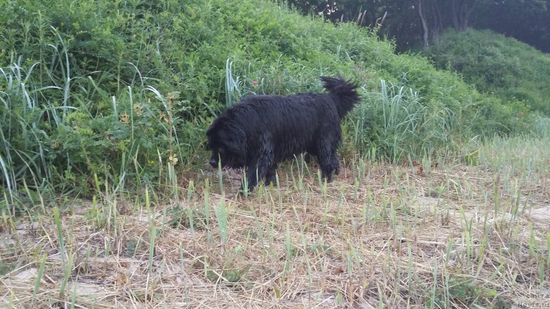 Фотография № 227509