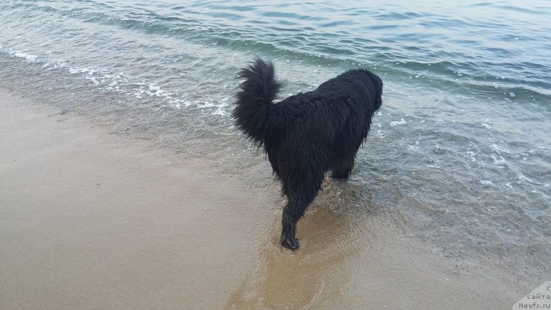 Фотография № 227511