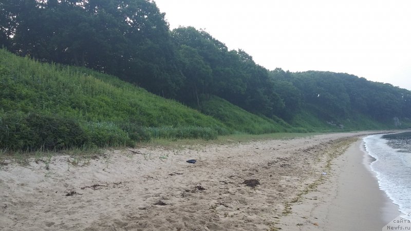 Фотография № 227512