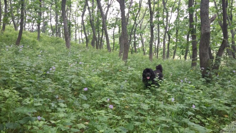 Фотография № 227514