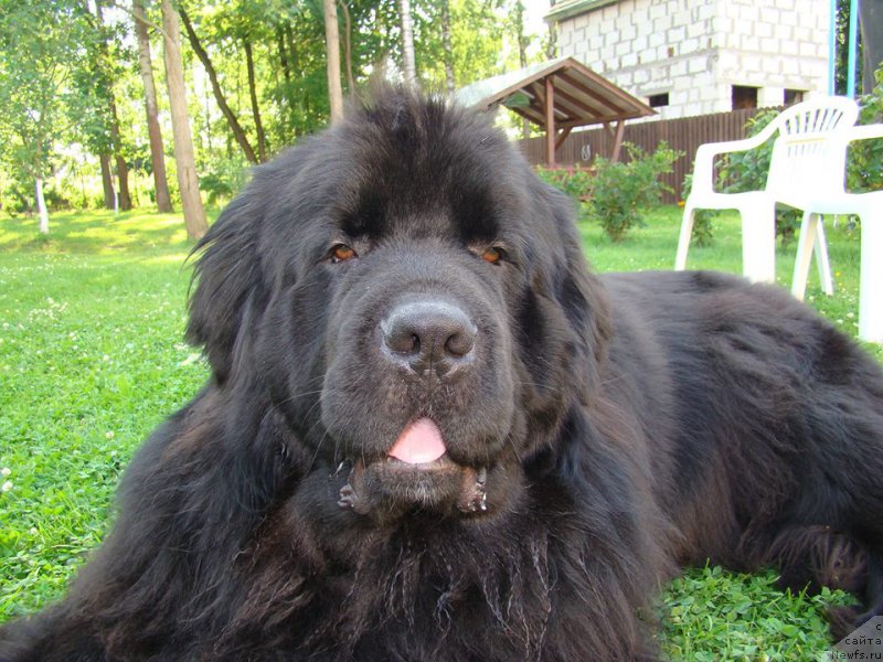 Фотография № 227532