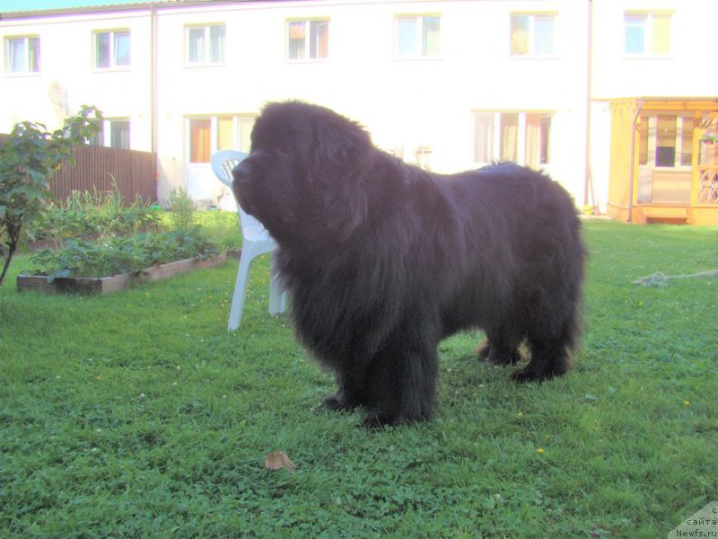 Фотография № 227533