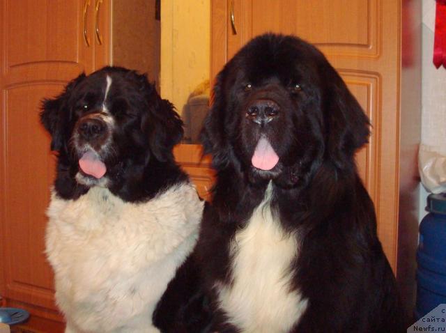 Фотография № 22754