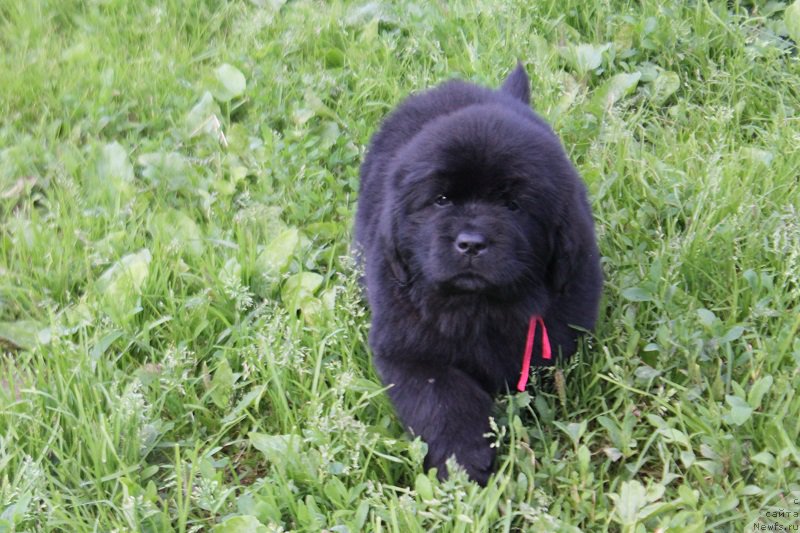 Фотография № 227568