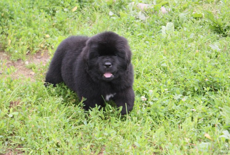 Фотография № 227573