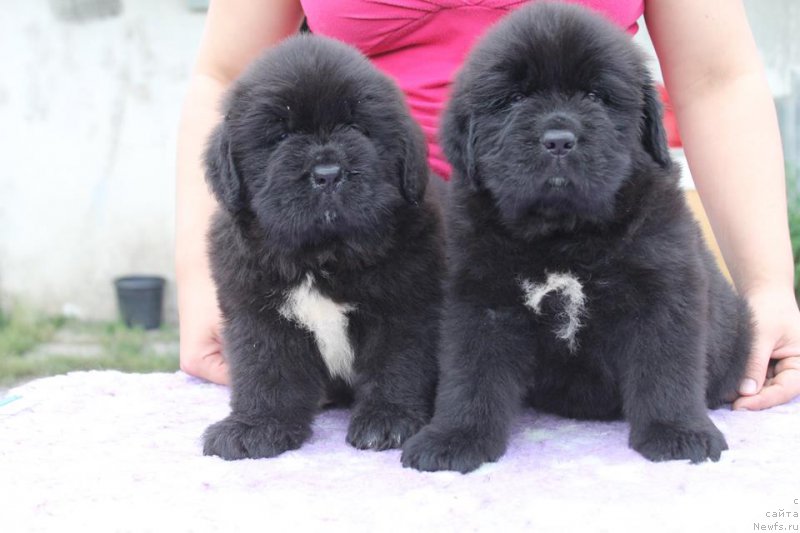 Фото: Валерия Ракута